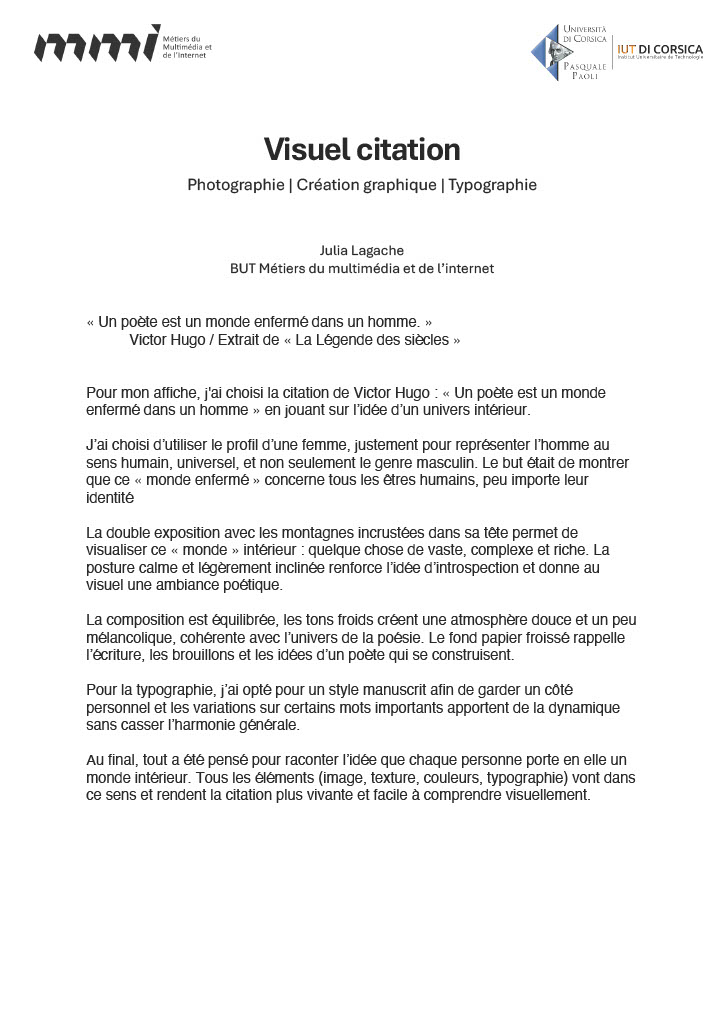 Explication des choix graphiques